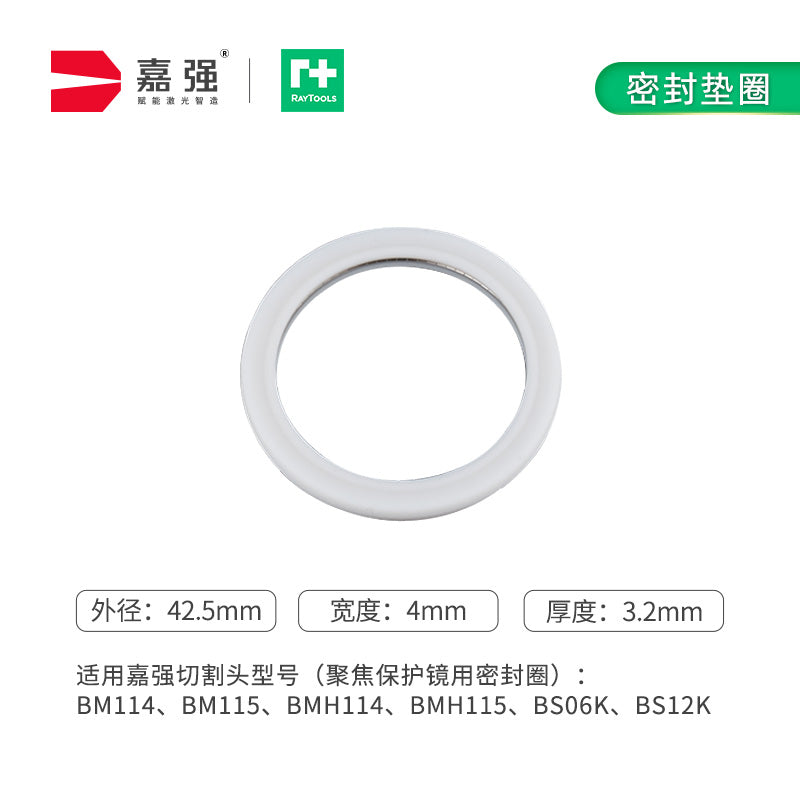 Raytools Original Sealing Ring — PTFE, Spring-Energized (10 Sizes)