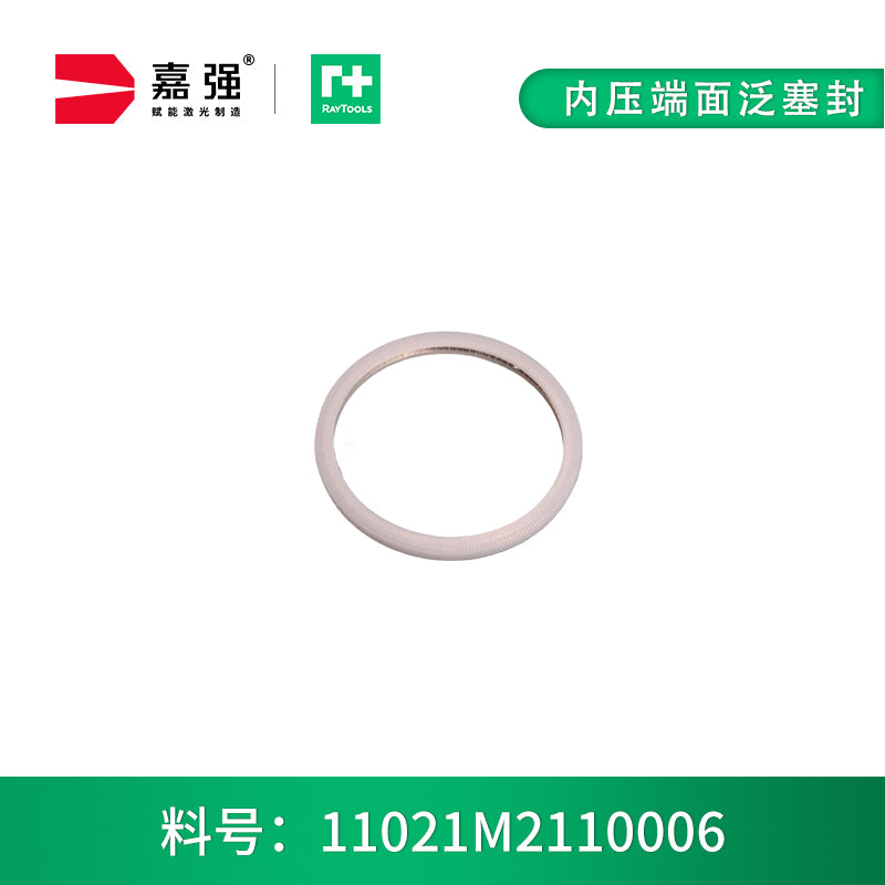 Raytools Original Sealing Ring — PTFE, Spring-Energized (10 Sizes)